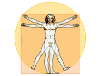 District Trauma System Leonardo Da Vinci's 'Vitruvian Man' illustration
