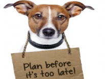 Prepare for emergency situations Small dog with sign around his neck that says, "Plan before it's too late!"