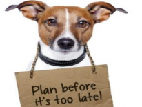 Small dog with sign around his neck that says, "Plan before it's too late!"