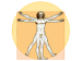 Leonardo Da Vinci's 'Vitruvian Man' illustration 